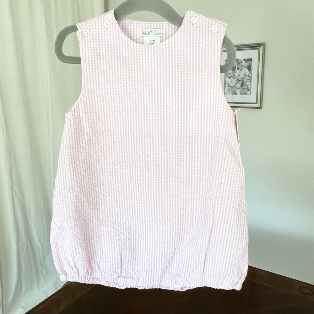 Petit Ami Pink Seersucker Bubble Outfit